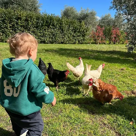 A Casa Mia Campagna Mare Casale Marittimo Toscana Feriehus Casale Marittimo