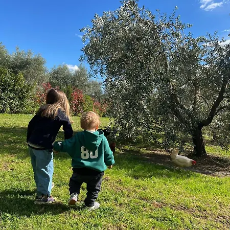 A Casa Mia Campagna Mare Casale Marittimo Toscana Feriehus *